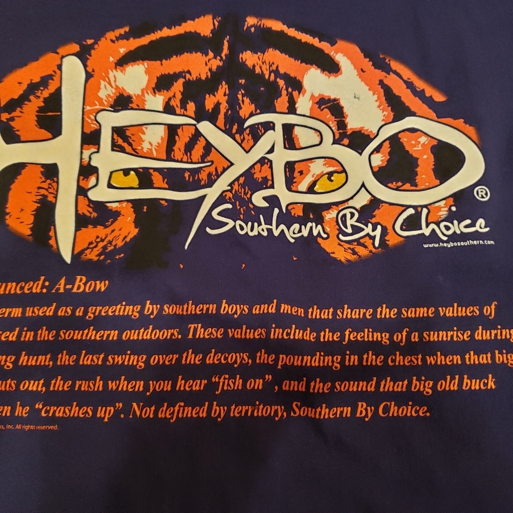 Heybo Southern by Choice Shirt